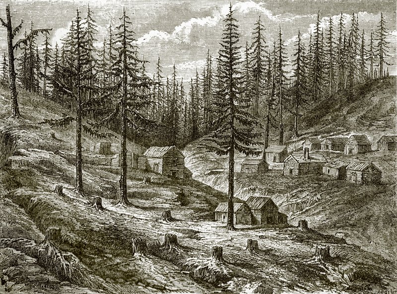 Excavaciones en el valle de la hierba de English School