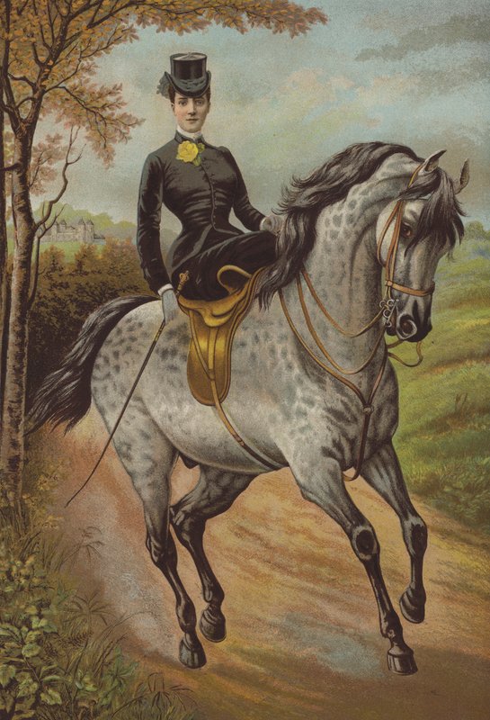 S.A.R. la Princesa de Gales (cromolito) de English School