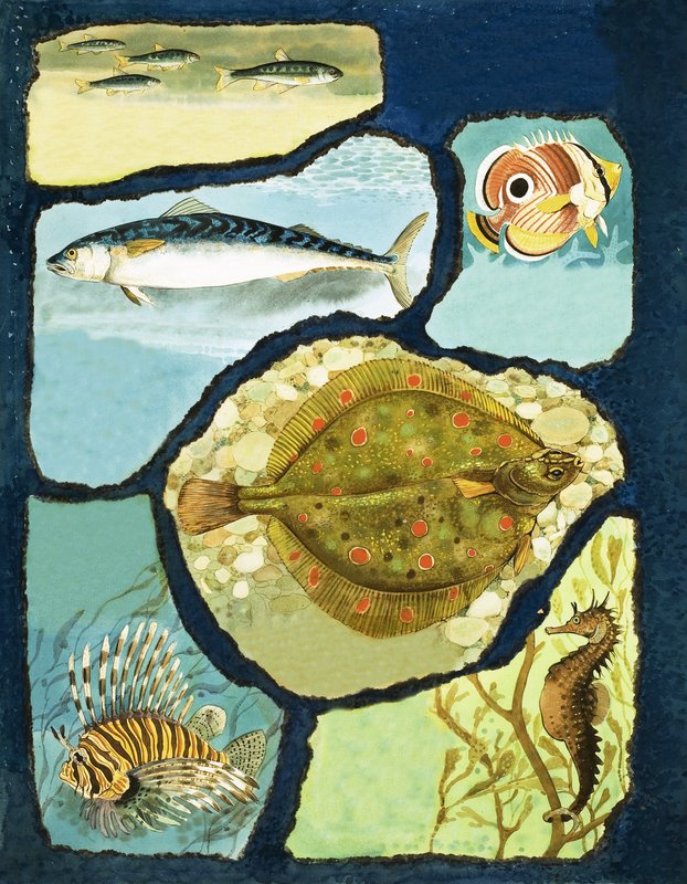 Cómo los peces escapan de sus enemigos de English School