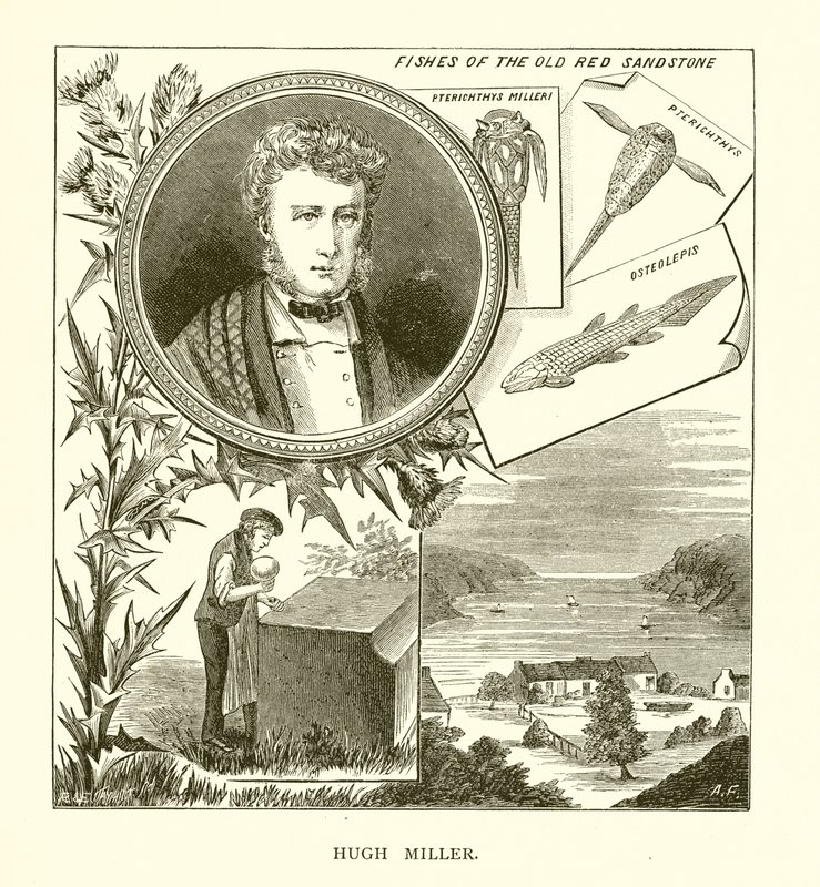 Hugh Miller de English School