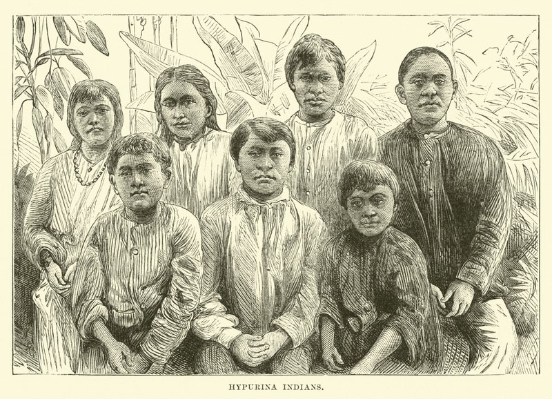 Indios Hypurina de English School