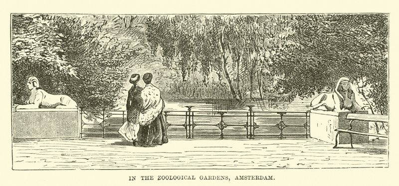 En los Jardines Zoológicos, Ámsterdam de English School