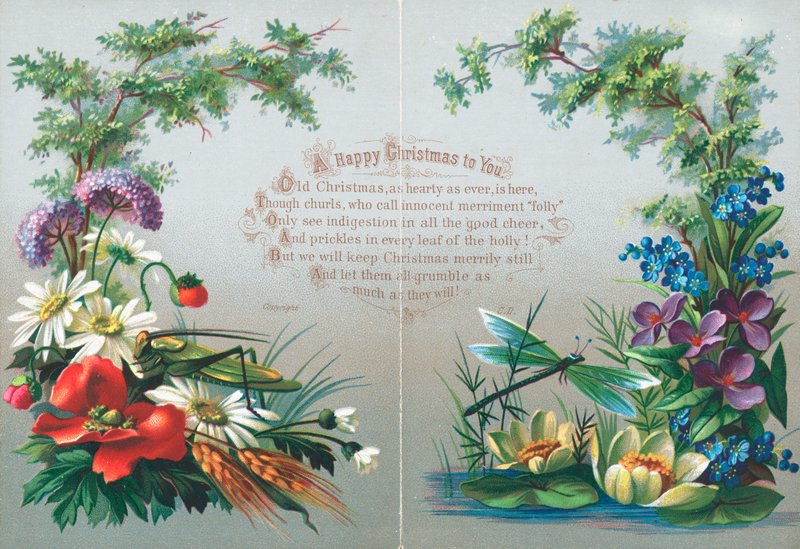 Insectos y flores de English School