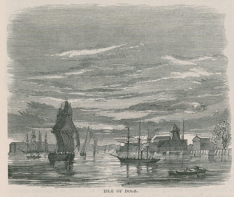 Isla de los Perros de English School