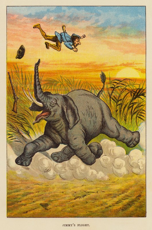 El vuelo de Jimmy (litografia en color) de English School