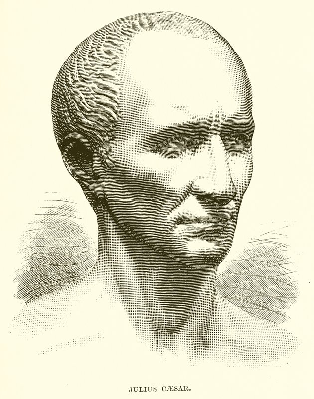 Julio César de English School