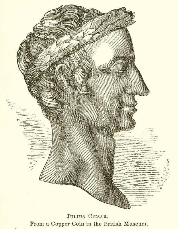 Julio César de English School