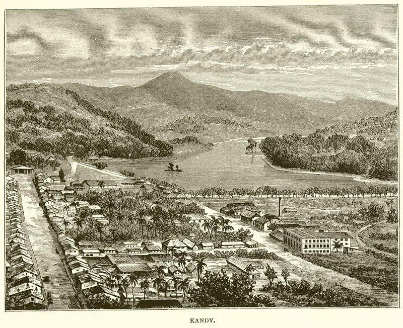 Kandy de English School