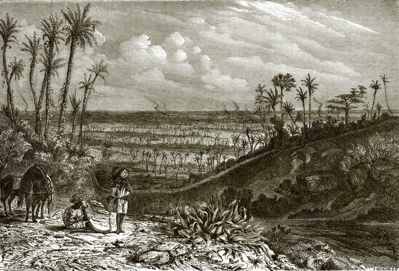 Paisaje en la isla de Cuba de English School