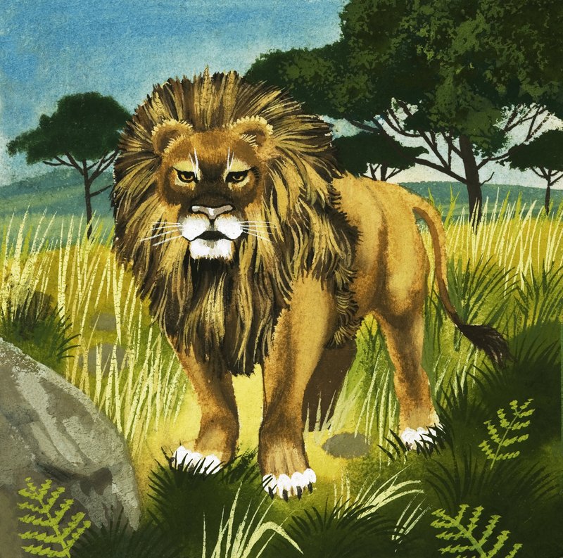 León de English School