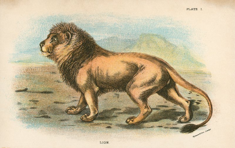León de English School