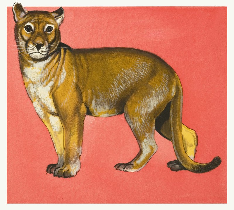 Leona de English School