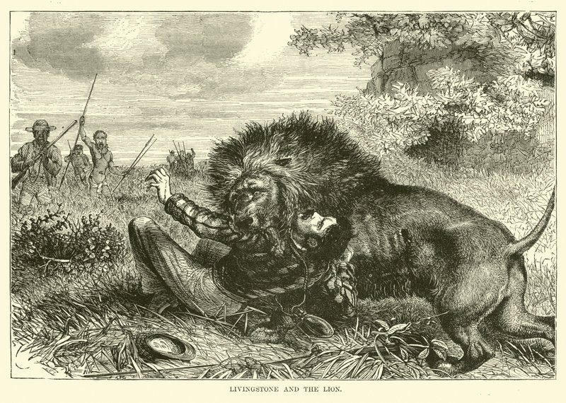 Livingstone y el león de English School