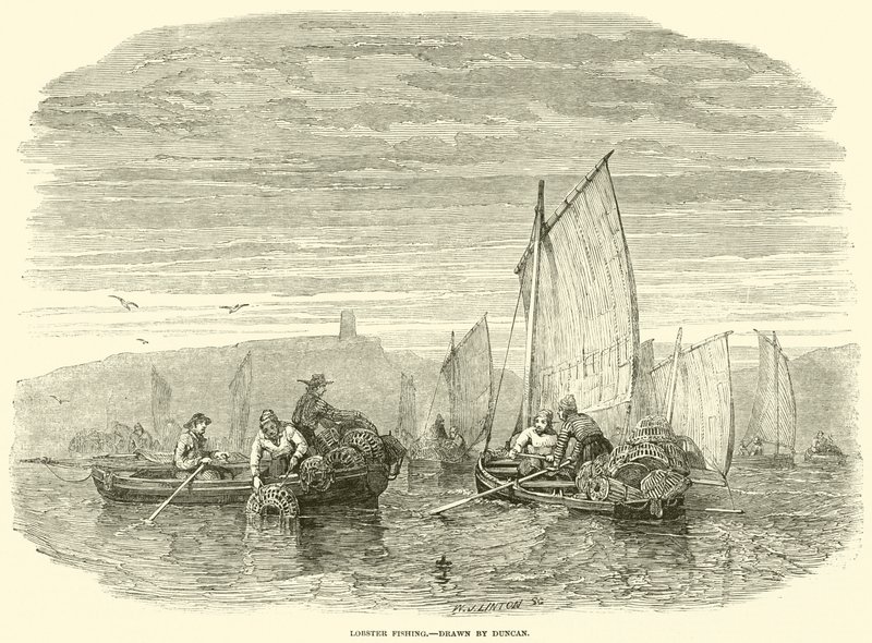 Pesca de langosta (grabado) de English School