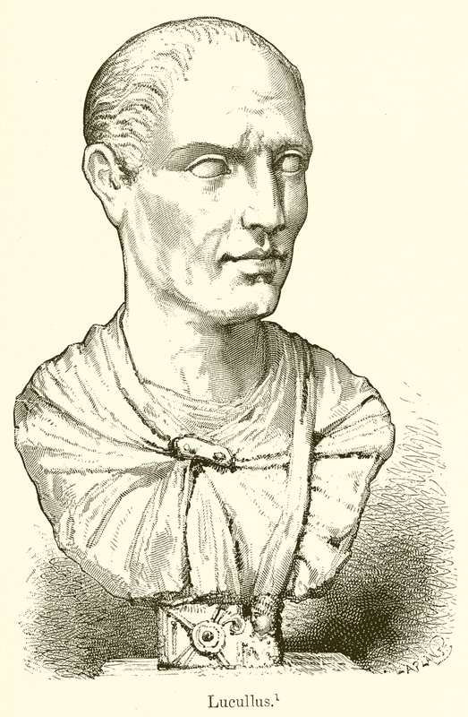 Lucullus de English School