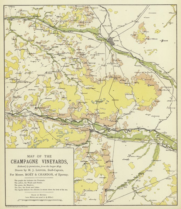Mapa de los viñedos de Champaña (litografía en color) de English School