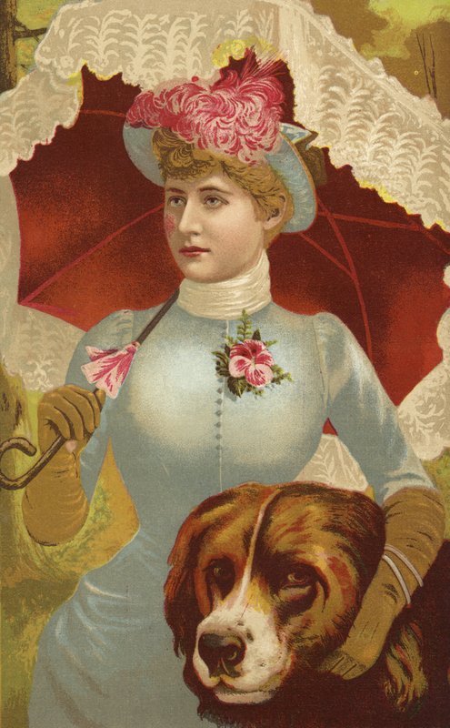 Miss Mary Anderson de English School
