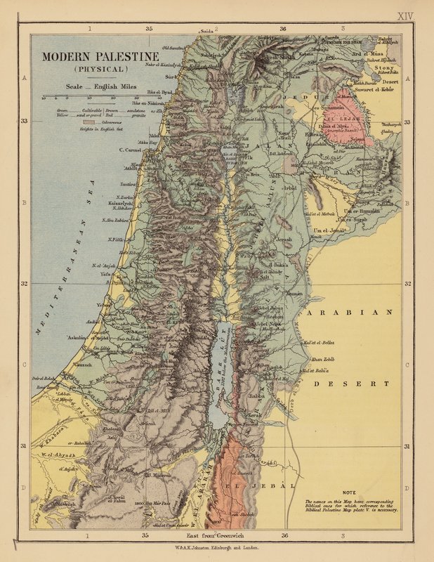 Palestina moderna (litografía en color) de English School