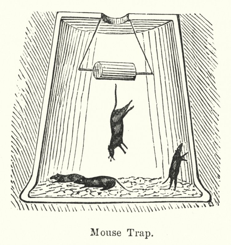 Trampa para ratones (grabado) de English School