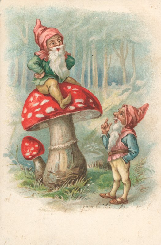 Hongo con gnomos de English School