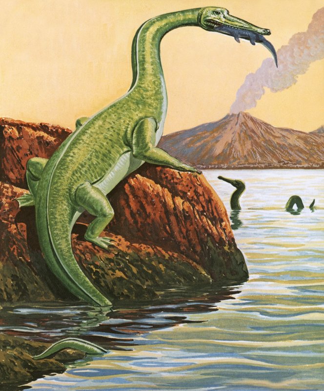 Nathosaurus comiendo de English School