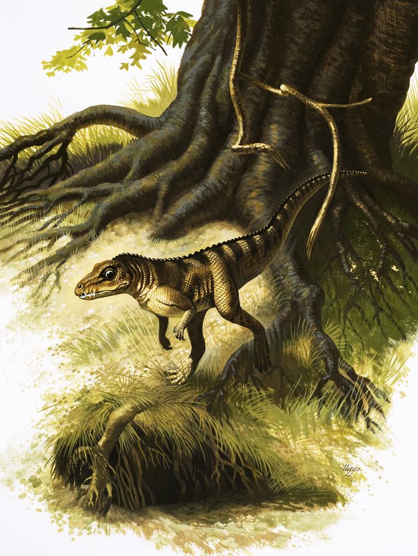Onithosuchus de English School