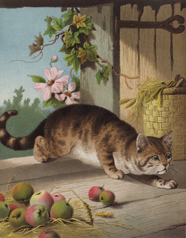 Nuestro Tom (chromolitho) de English School