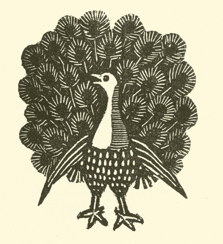 Pavo real de English School