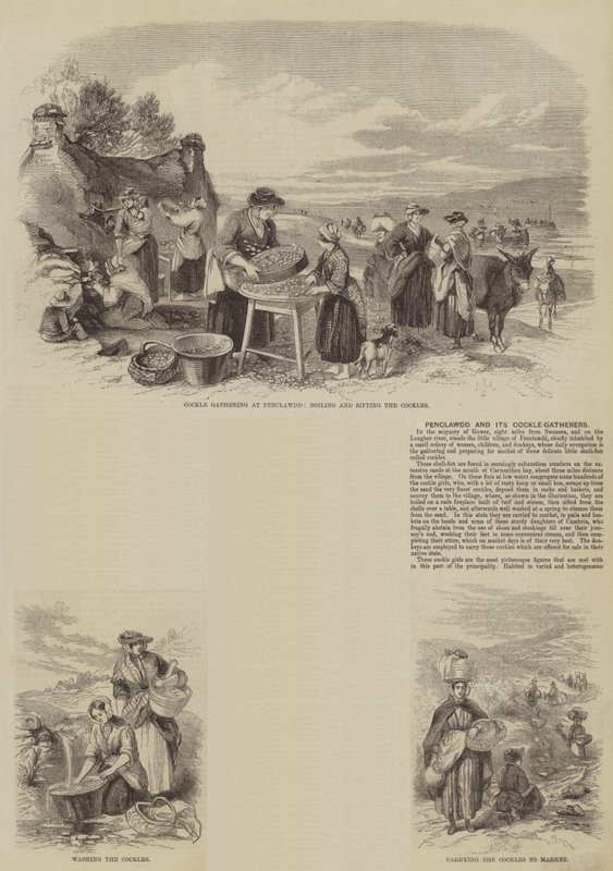 Penclawdd y sus recolectores de berberechos (grabado) de English School