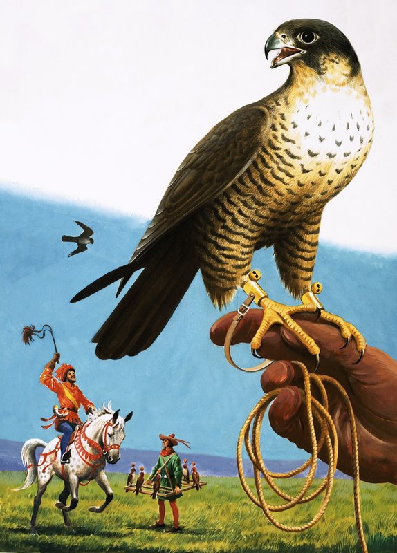 Halcón peregrino de English School