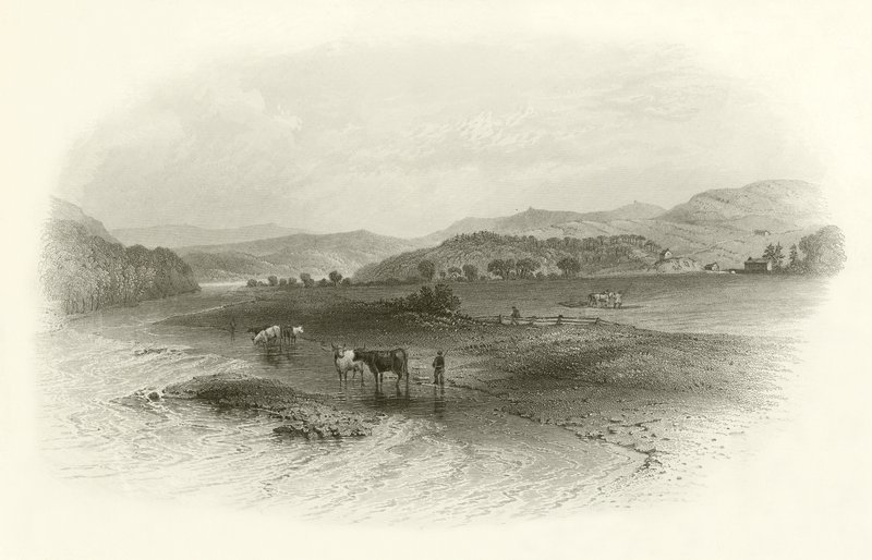 Philiphaugh de English School