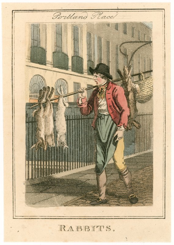 Portland Place. Conejos de English School