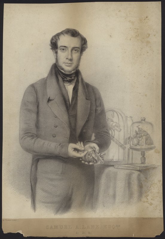 Retrato de Samuel Armstrong Lane de English School