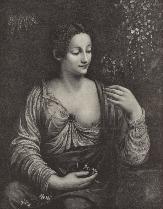 Retrato de una joven dama de English School