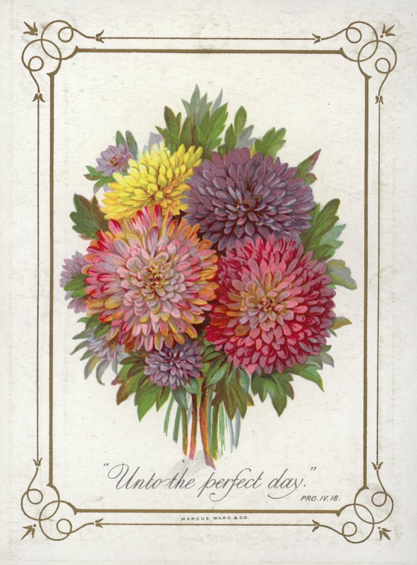 Ramillete de flores de English School