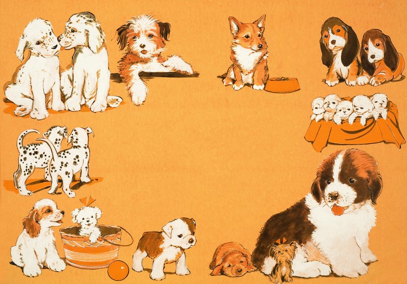 Cachorros de English School