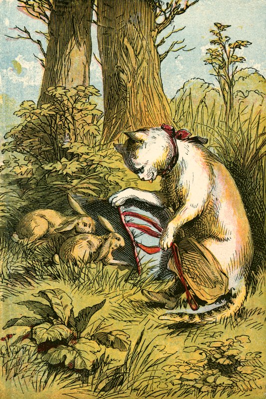 El gato atrapando los conejos de English School