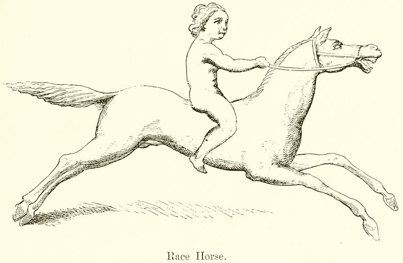 Caballo de carreras de English School