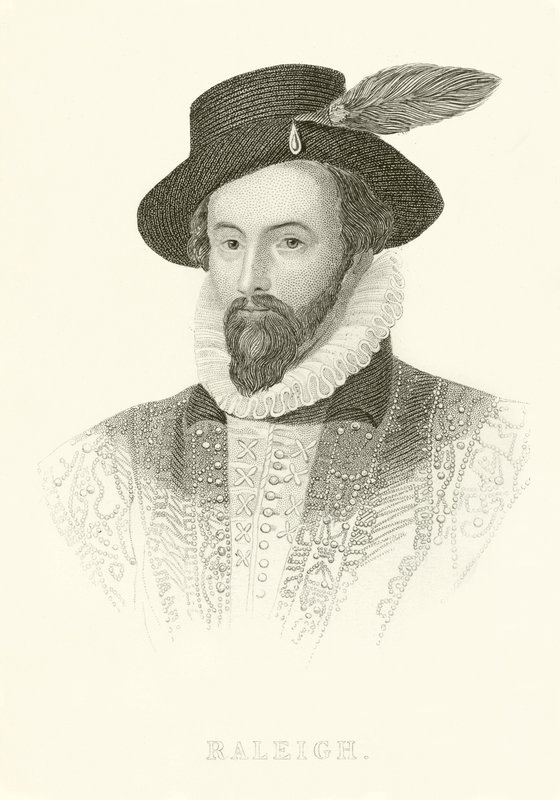 Raleigh de English School