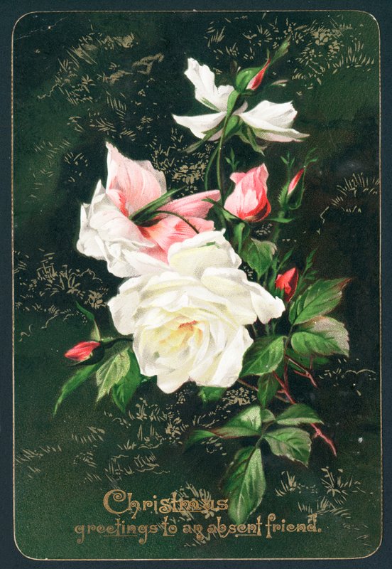 Rosas de English School