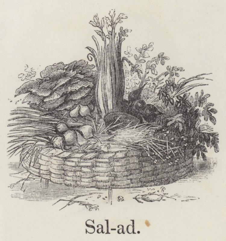 Ensalada de English School