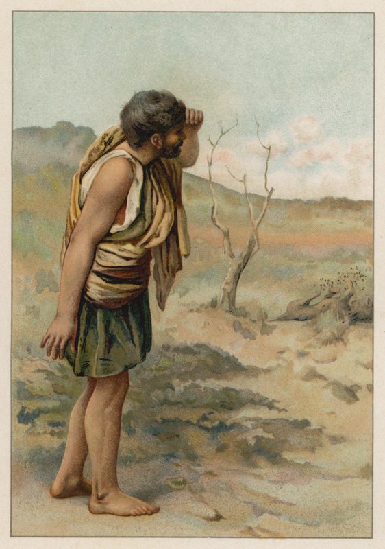 El enigma de Sansón (cromolito) de English School