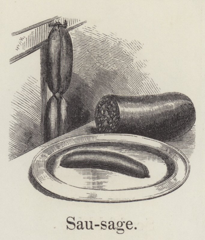 Salchicha (grabado) de English School