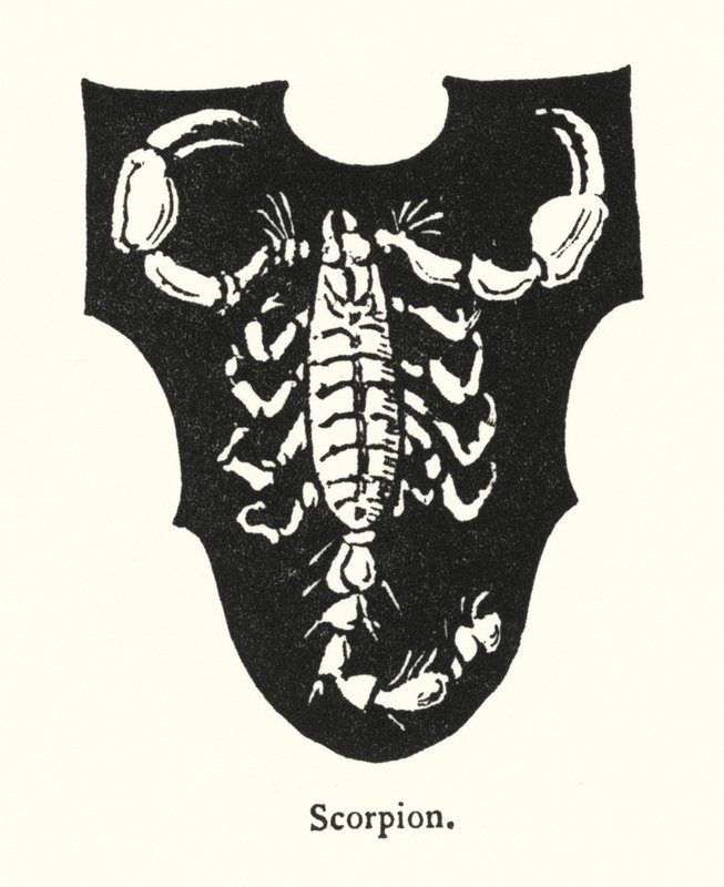 Escorpión de English School