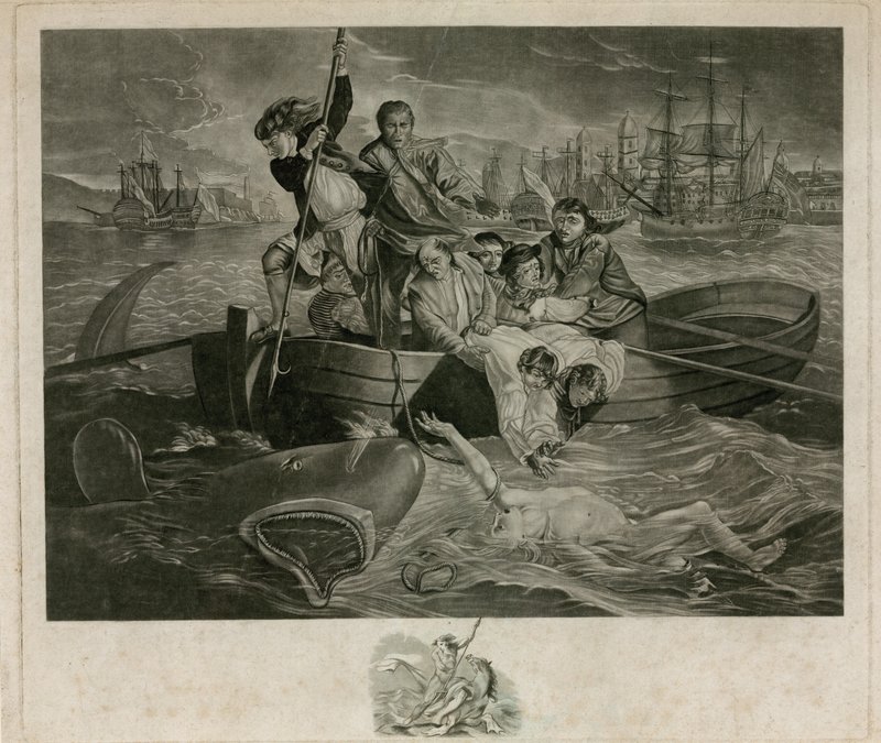 Ataque de tiburón de English School