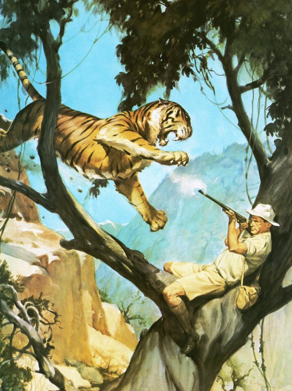 Cazando un tigre de English School