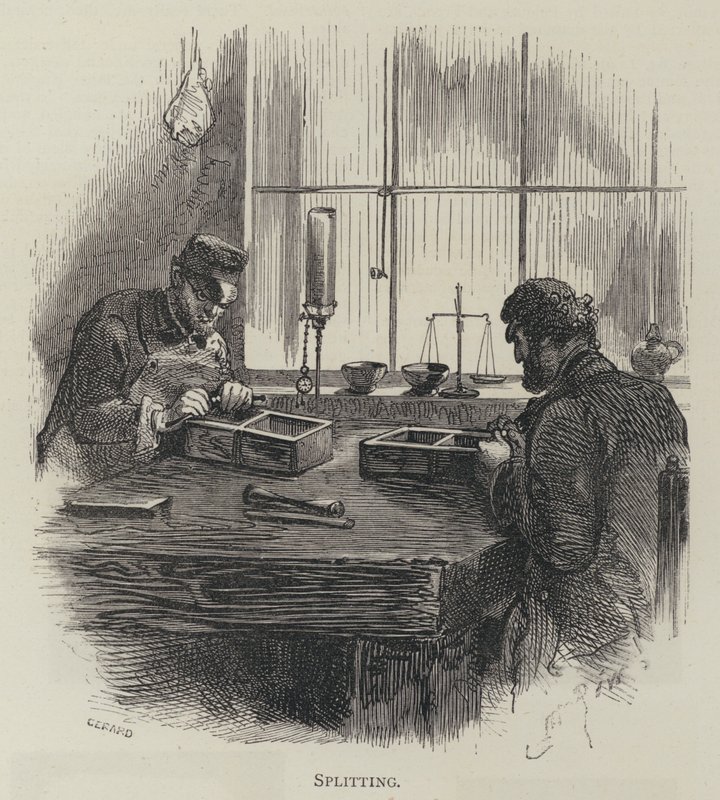División de English School