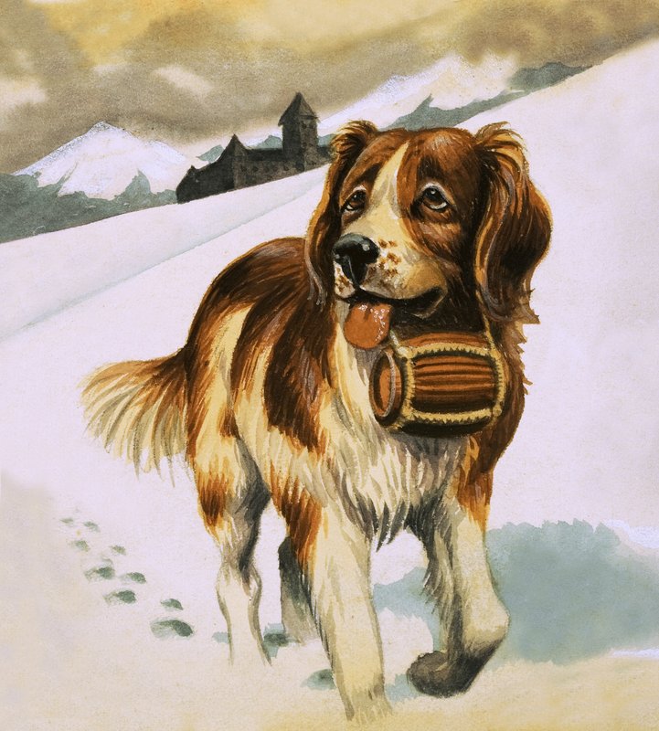 Perro de San Bernardo de English School