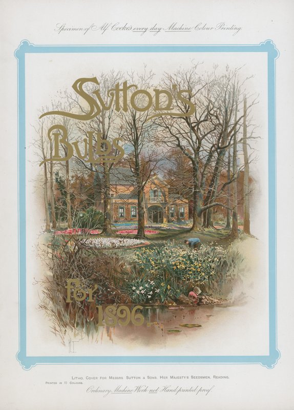 Bulbos de Suttons para 1896 de English School
