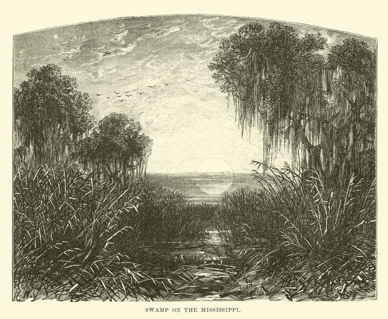 Pantano en el Mississippi de English School